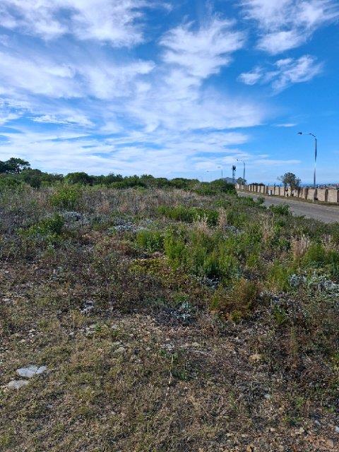 Commercial Property for Sale in N2 Industrial Park Western Cape